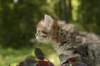 uuriaboy6weekssibn2454_small.jpg