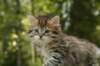 uuriaboy6weekssibn2467_small.jpg