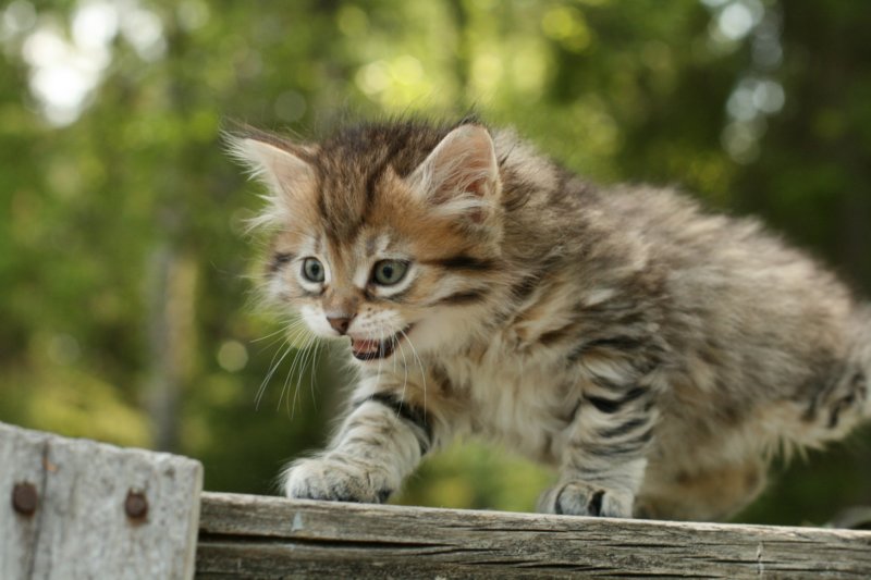 uuriaboy6weekssibn2468.jpg