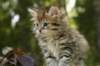 uuriaboy6weekssibn2494_small.jpg