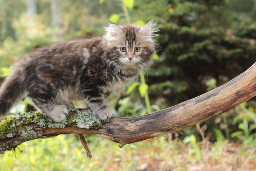 vannavaletta105weeks259202324.jpg