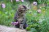 venamin85viikkoa30615_small.jpg