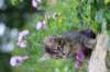 venamin85viikkoa30618_small.jpg