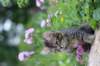 venamin85viikkoa30619_small.jpg