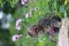 venamin85viikkoa30626_small.jpg