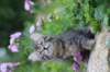 venamin85viikkoa30628_small.jpg