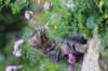 venamin85viikkoa30630_small.jpg