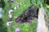 venamin85viikkoa30638_small.jpg