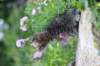 venamin85viikkoa30647_small.jpg