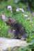 venamin85viikkoa30650_small.jpg