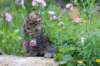 venamin85viikkoa30654_small.jpg