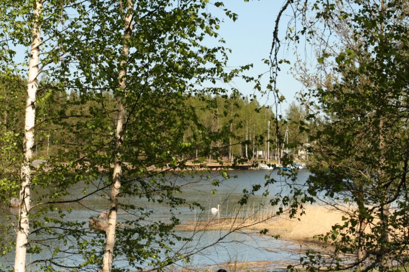 ikkunankymviewfromwindow2.jpg