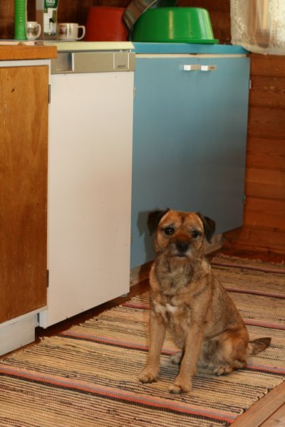 tupaasittingroom22.jpg