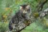 xara55weeks298202318_small.jpg