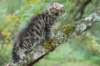 xara55weeks298202319_small.jpg