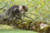 xara95weeks2792310_small.jpg