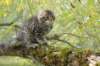xara95weeks2792311_small.jpg