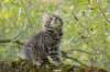 xara95weeks2792312_small.jpg
