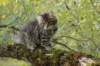 xara95weeks2792313_small.jpg