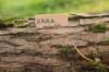 xara95weeks279231_small.jpg