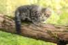 xara95weeks279232_small.jpg