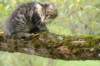 xara95weeks279233_small.jpg