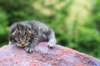 ximenesboy2weeks38202314_small.jpg