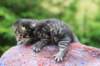 ximenesboy2weeks38202315_small.jpg