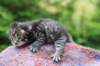 ximenesboy2weeks38202316_small.jpg