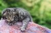 ximenesboy2weeks3820231_small.jpg