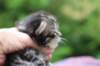 ximenesboy2weeks3820234_small.jpg