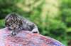 ximenesboy2weeks3820236_small.jpg