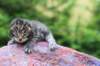 ximenesboy2weeks3820239_small.jpg