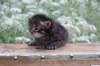 ximenes3weeks118202315_small.jpg