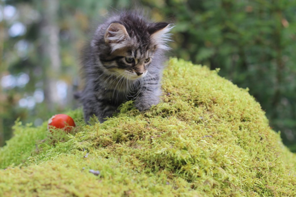 xoana75weeks119202327.jpg
