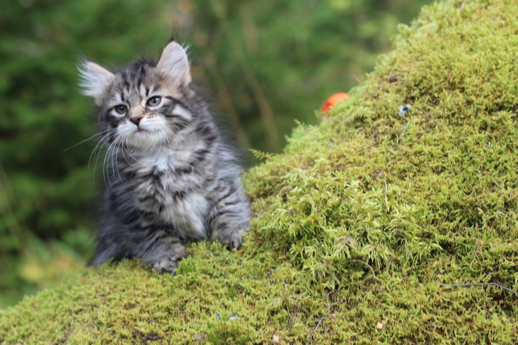 xoana75weeks11920239.jpg