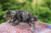 xoanagirl2weeks3820231_small.jpg