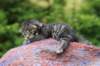 xoanagirl2weeks3820234_small.jpg