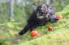 xon75weeks119202310_small.jpg
