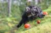 xon75weeks119202311_small.jpg