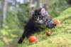 xon75weeks119202312_small.jpg