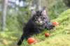 xon75weeks119202313_small.jpg