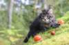 xon75weeks119202314_small.jpg