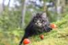 xon75weeks119202315_small.jpg