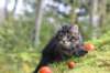 xon75weeks119202316_small.jpg