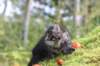 xon75weeks119202317_small.jpg