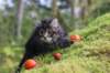 xon75weeks119202319_small.jpg