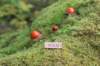 xon75weeks11920231_small.jpg
