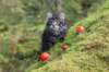 xon75weeks119202327_small.jpg