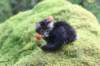 xon75weeks11920232_small.jpg